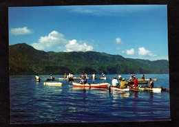 Rare Vue - Comores - ANJOUAN - Pêcheurs ( Carte Diminuée En Haut Et Sur Les Cotés Pour Rangement En Classeur) - Comores