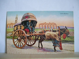 Roma - Costume Romano - Carro Da Vino - Carro Addobbato Con Cavallo - Acquedotto Romano - Transport