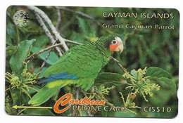 Cayman Islands, Caribbean, Used Phonecard, No Value, Collectors Item, # Cayman-6 Shows Wear - Kaaimaneilanden