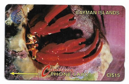 Cayman Islands, Caribbean, Used Phonecard, No Value, Collectors Item, # Cayman-8  Shows Wear - Islas Caimán