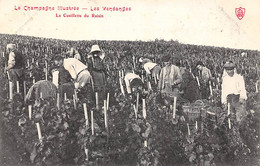 Divers .     51   La Champagne Illustrée : Vendanges.  La Cueillette Du Raisin             (voir Scan) - Sonstige & Ohne Zuordnung