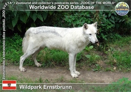 861 WZD • ZOO -  Wildpark Ernstbrunn, AT - Mackenzie Valley Wolf (Canis Lupus Occidentalis) - Korneuburg