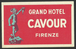 ITALY FIRENZE Hotel CAVOUR Luggage Label - 12 X 7,5 Cm (see Sales Conditions) - Etiketten Van Hotels