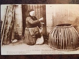 Photo De CPA, P.D.S, En Périgord, Une Gaveuse D'Oie (texte En Occitan -Patois) 24- Dordogne - Berufe