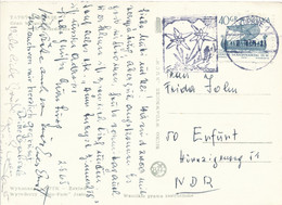 Polen Zakopane MWST 1965 Edelweiss Hohe Tatra Berge Mi. 1387 Segelschiff Normannenschiff  - Postkarte Nach DDR - Maschinenstempel (EMA)