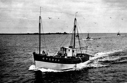 Lesconil * Chalutier Arrivant Au Port * Bateau Pêche - Lesconil