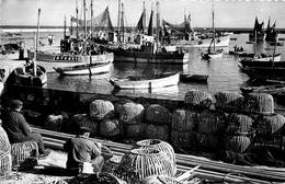 Lesconil * La Réparation Des Casiers à Homards * Pêche Bateau - Lesconil