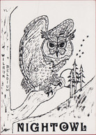QSL Card Amateur Radio Station Nightowl Uil Owl Hibou Wilrijk Antwerpen - Radio Amateur