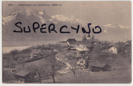 SUISSE N° 5214 HILTERFINGEN UND STOCKHORN - Hilterfingen