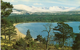 1969 Loch Morlich And The Snowclad Cairngorms -  Posted Nairn To Stekene - Card Nr PT35663 +stempel OOSTENDE C 1 C - - Nairnshire