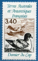 Terres Australes Et Antarctiques Françaises (TAAF) -  Damier Du Cap - Airmail