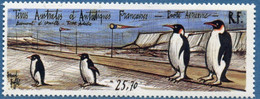 Terres Australes Et Antarctiques Françaises (TAAF) - Piste De Terre Adélie - Airmail