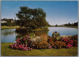 Oberursel - Weiher Im Maasgrund - Oberursel