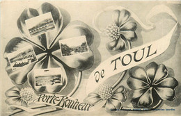 Toul * Porte Bonheur De La Commune * Souvenir * Multivues - Toul