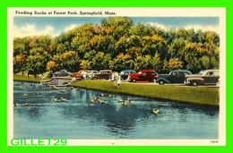 SPRINGFIELD, MA - FEEDING DUCKS AT FOREST PARK - ANIMATED WITH PEOPLES & OLD CARS - THE UNION NEWS CO - - Springfield