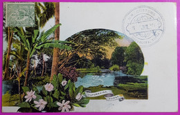 Cpa Entier Postal Tonga Tufumahina Océanie Cachet Douane Customs Nukualofa Carte Postale Ecrite De Nouméa En 1909 - Tonga