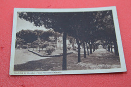 Massa Marina Viale Pellerano 1941 Ed. Cuturi - Massa