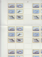 Syria 2011Marine Life Large Sheet Of 6 Sets Of 6 Stamps MNH -Red. Price ( Skrill & Paypal )folded Kin The Middle - Syria