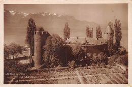 Vevey - La Tour De Peilz - Le Château - La Tour-de-Peilz