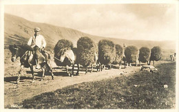 -ref-A233- Islande - Island - Iceland - Transport - Chevaux - Man With Horses - Editor Baldvin Reykjavik - - Islande