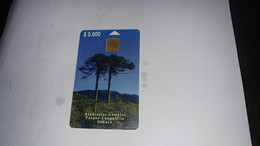 Chile-(cl-tlf-02)-araucarias-(150)-($5.000)-(G02782065)-(6/1999)-(tirage-50.000)-used Card+1card Prepiad Free - Chile