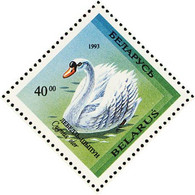 Biélorussie. Belarus Cygne. Mute Swan - Cygnes