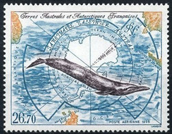 Terres Australes Et Antarctiques Françaises (TAAF) - Rorqual Bleu - Airmail