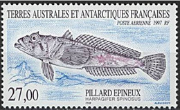 Terres Australes Et Antarctiques Françaises (TAAF) - Pillard épineux - Airmail