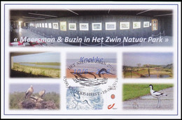 DUOSTAMP/MYSTAMP** - FDC -  Avocette élégante / Kluut / Avocet / Recurvirostra Avosetta - Zwin - BUZIN - Lettres & Documents