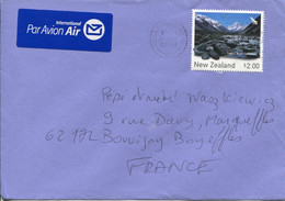 Nuova Zelanda (2008) - Aerogramma Per La Francia - Cartas & Documentos