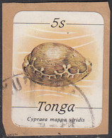 Tonga 1984-85 Used Sc #566 5s Cypraea Mappa Viridis Sea Shell - Tonga (1970-...)