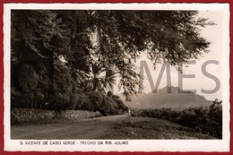 CABO VERDE - SAO VICENTE - TRECHO DA RIBEIRA JULIAO - 1950 REAL PHOTO PC - Cap Vert