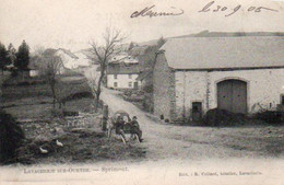 LAVACHERIE SUR OURTHE   Sprimont Charette Petite Animation  Circulé En 1905 - Sainte-Ode