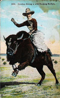 ► 1923   RODEO - Cowboy Rides Bucking Buffalo Bison, Rodeo, C1910s Vintage Postcard-  Posted From  Miles City MONTANA - Miles City