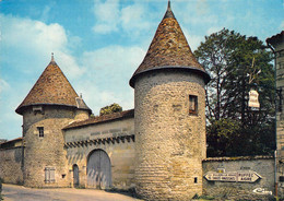 16 - Villefagnan - L'entrée Du Vieux Château - Villefagnan