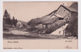 TROIS PONTS  LA SALM - Trois-Ponts