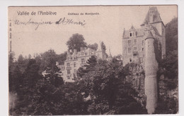 CHATEAU DE MONTJARDIN - Amblève - Amel