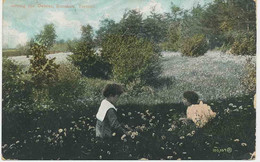 CANADA 1920 Used Coloured Pc "Among The Daisies, Rosedale, TORONTO" - Toronto