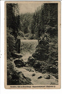 CPA-Carte  Postale Autriche- Dorbin Rappenlochschlucht :Waterfall   1935- VM28043 - Dornbirn
