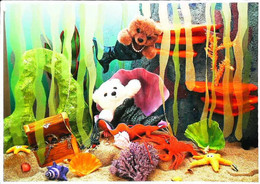 ► Nounours Bear  Aquarium - Spielzeug & Spiele