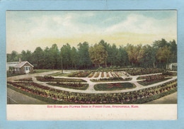 SPRINGFIELD  -  HOT  HOUSE  AND  FLOWER  BEDS  IN  FOREST  PARK   - - Springfield