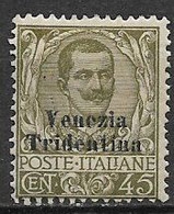 REGNO D'ITALIA TRENTINO ALTO ADIGE 1918 FRANCOBOLLI D'ITALIA DEL 1901-17 SOPRASTAMPATI SASS. 25  MLH VF - Trento