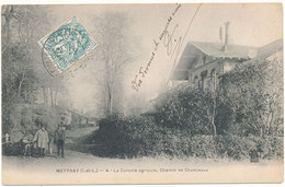 METTRAY - La Colonie Agricole, Chemin De Chanceaux - Mettray