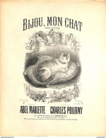 Bijou, Mon Chat. Chansonnette Comique. Partition Ancienne, Grand Format, Couverture Illustrée Donjean - Scores & Partitions