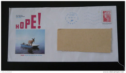 Ane Donkey DInard PAP 35 Ille Et Vilaine Postal Stationery 2434 - Burros Y Asnos