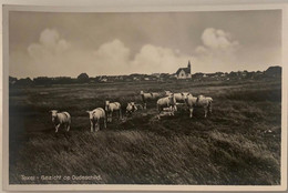 #423 - Gezicht Op Oudeschild, Texel - Texel