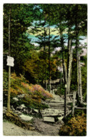 Ref 1475 - 1941 USA Postcard - Long Trail Lodge Sherburne Pass - Rutland Vermont - Rutland
