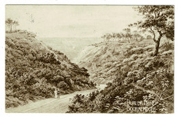 Ref 1475 - 1921 Postcard - Durley Chine Bournemouth - Hampshire Now Dorset - Bournemouth (avant 1972)