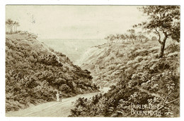 Ref 1475 - 1921 Postcard - Durley Chine Bournemouth - Hampshire Now Dorset - Bournemouth (until 1972)