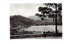 Cpm - Ponte Tresa - Suisse - Panorama - - Ponte Tresa